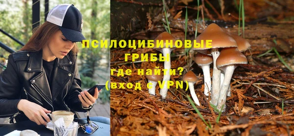 МДПВ Алексин