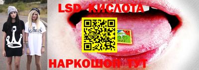 гашик Канаш