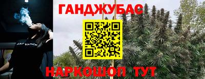 прущие крисы Камышлов