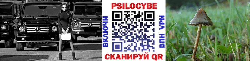 Псилоцибиновые грибы прущие грибы  hydra как зайти  Менделеевск 