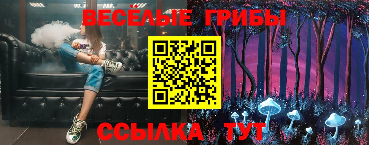 Псилоцибиновые грибы мицелий Менделеевск