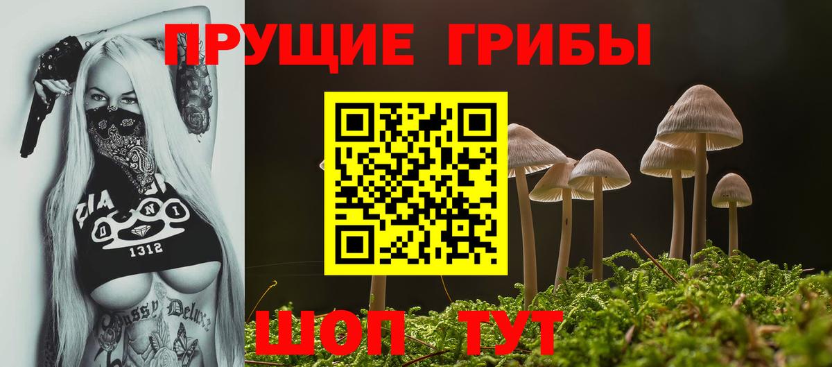 Менделеевск  Псилоцибиновые грибы Magic Shrooms  Вход с VPN 