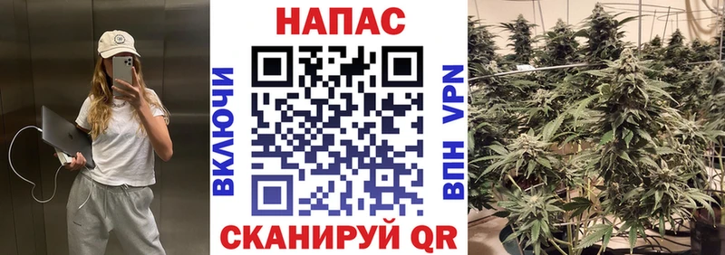 Конопля план  наркота  Менделеевск 